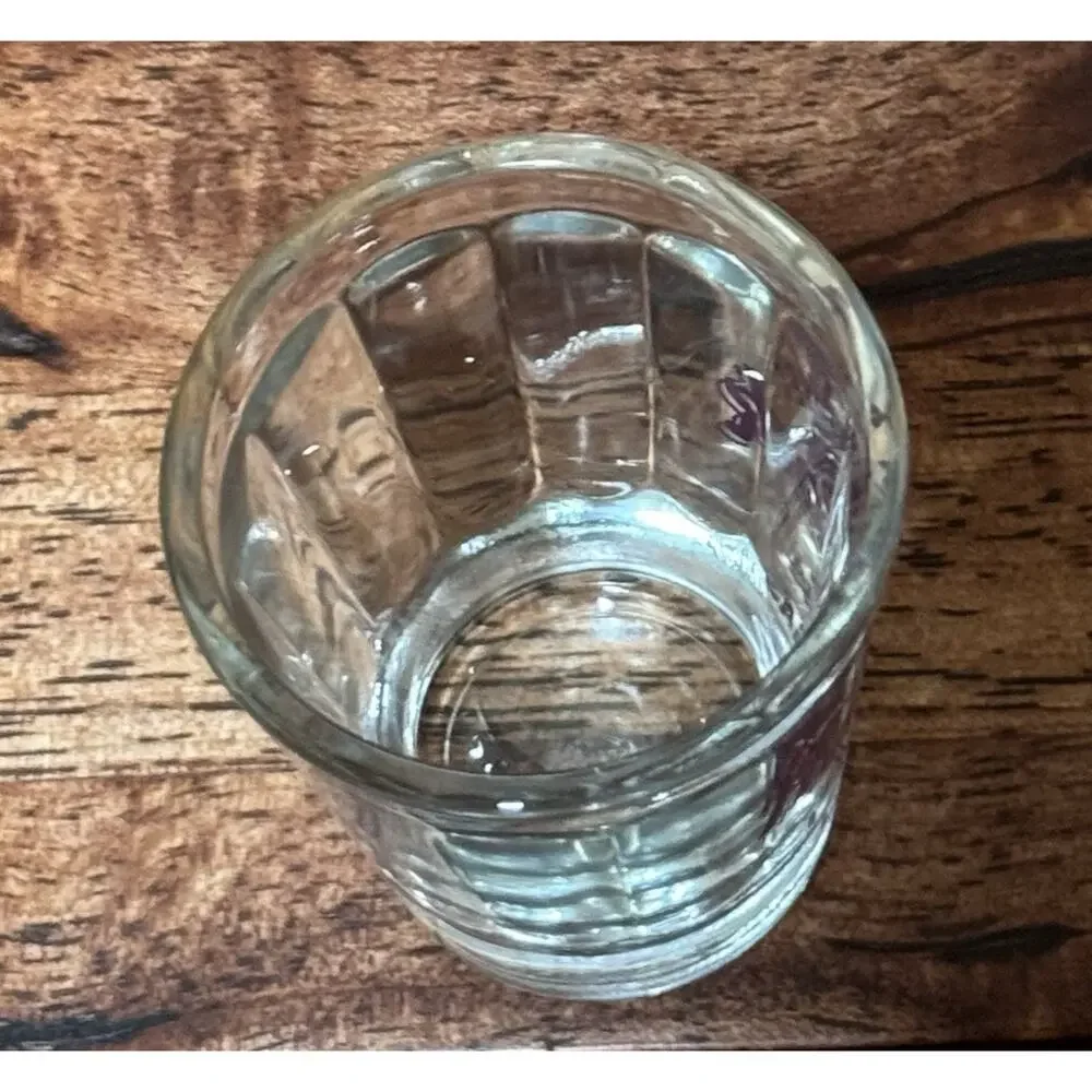 Hard Rock Hotel Save The Planet Las Vegas Purple Shot Glass